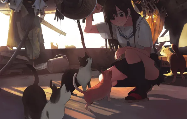 Cats, girl, stuff