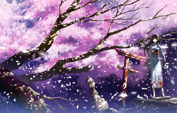 Girl, branches, the wind, katana, gate, petals, Sakura, lights