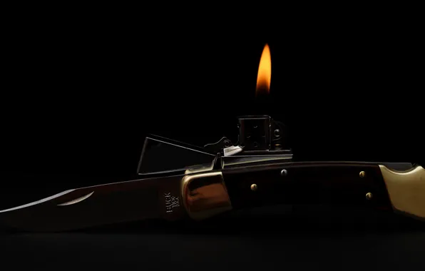 Picture knife, Buck, 110, Folding Hunter