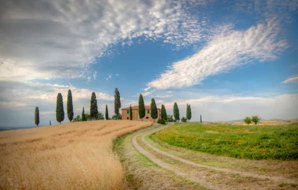 Picture road, field, the sky, trees, house, Nature, Italy, Pienza