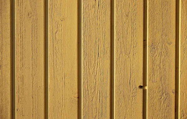 Background, wall, texture