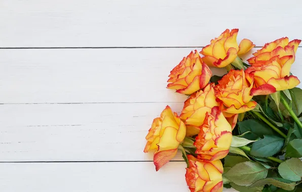 Flowers, roses, bouquet, wood, flowers, orange, roses