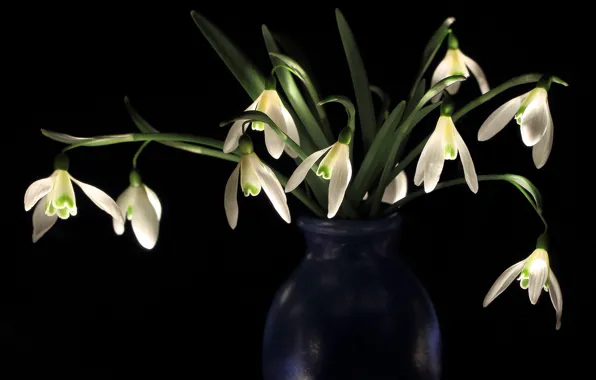 Picture leaves, light, flowers, bouquet, spring, snowdrops, vase, white