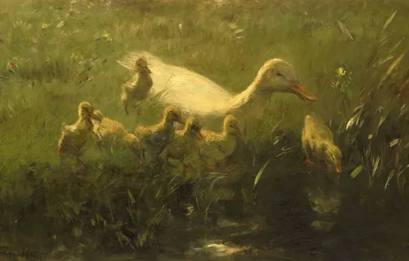 Picture bird, oil, picture, canvas, 1910, Willem Maris, Willem Maris, White duck with Chicks