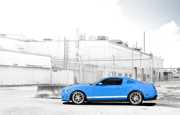Picture mesh, blue, the fence, Mustang, Ford, Shelby, GT500, Mustang
