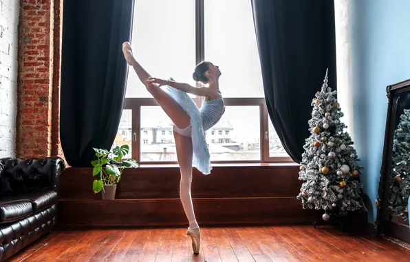 Pose, movement, tree, dance, window, grace, ballerina, Moshenko Sergey