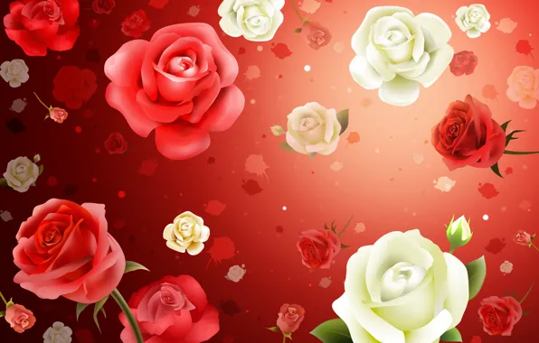 Flowers, background, Wallpaper, roses