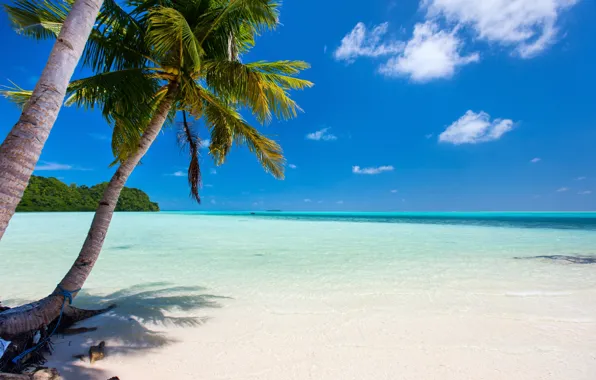 Sand, sea, beach, the sun, palm trees, shore, summer, beach