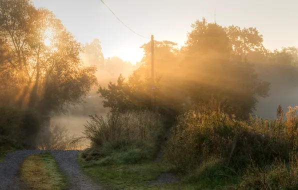 Road, fog, morning