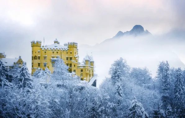 Winter, frost, forest, snow, mountains, fog, castle, Germany