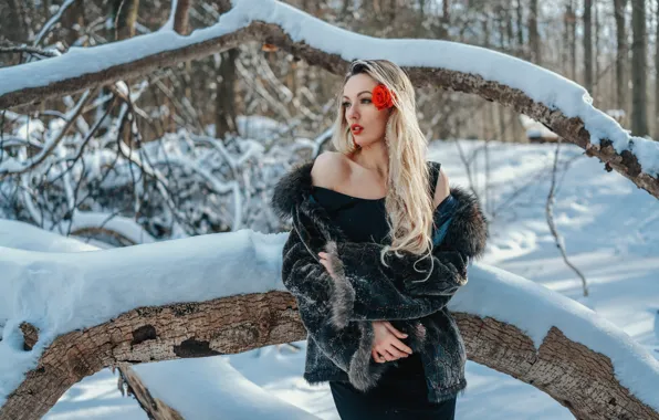 Picture winter, flower, girl, snow, nature, pose, blonde, shoulder