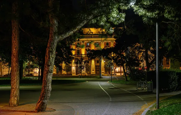 Trees, machine, night, lights, Park, lawn, home, Austria