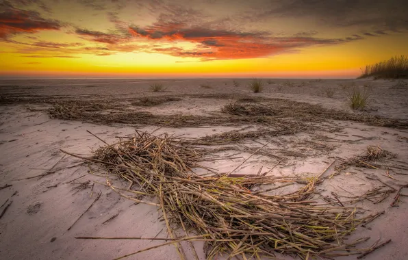 Picture beach, landscape, sunset