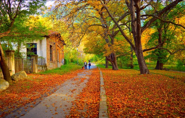 Picture Autumn, Park, Fall, Foliage, Park, Autumn, Colors, Walk