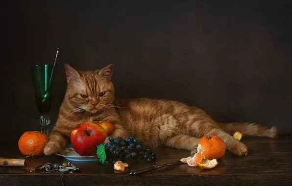 Apples, glass, grapes, tangerines, red cat, cat