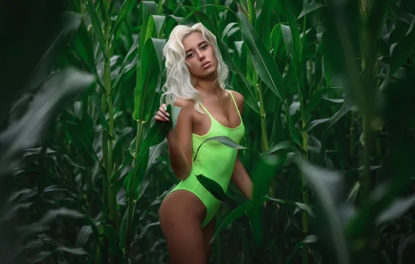 Sexy, pose, blonde, beauty, figure, Margo, Dmitry Medved