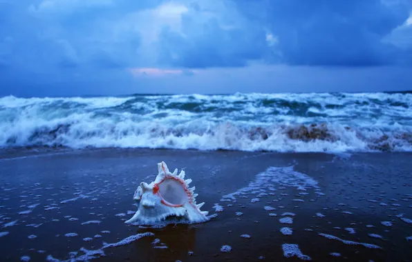 India, Early morning at sea beach, Puri, Orissa