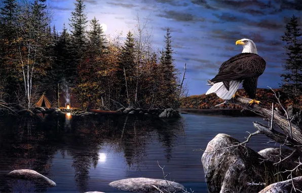 Picture autumn, night, river, eagle, the moon, boat, the fire, tent