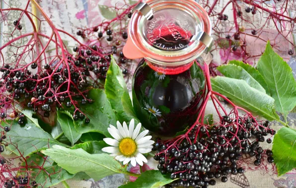 Berry, Juice, Elder, Black Elderberry