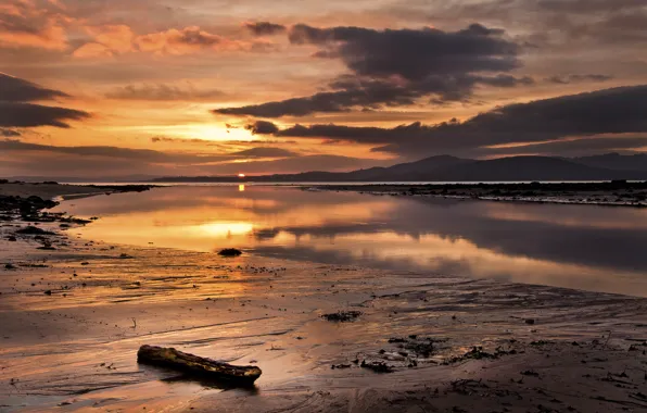 Picture sunset, lake, the evening, stranded, stick