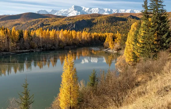 Autumn, forest, snow, trees, mountains, lake, reflection, hills