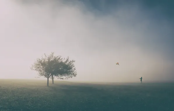 Trees, people, kite, trees, man, kite, Uschi Hermann