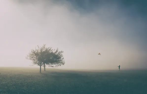 Picture trees, people, kite, trees, man, kite, Uschi Hermann