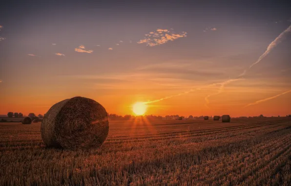 Field, sunset, hay