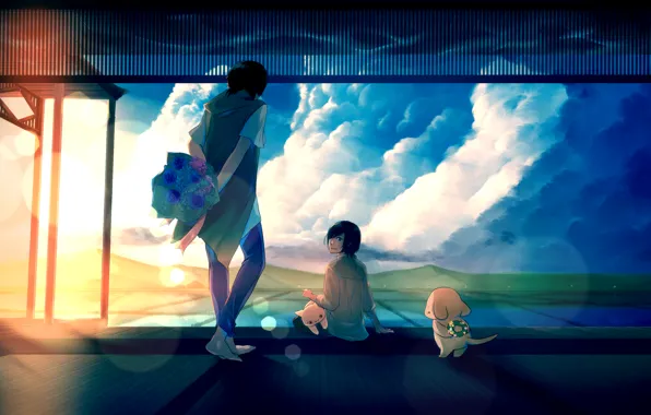 The sky, cat, girl, the sun, clouds, sunset, flowers, dog