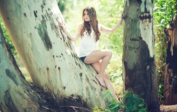 Picture girl, tree, shorts, legs, beautiful