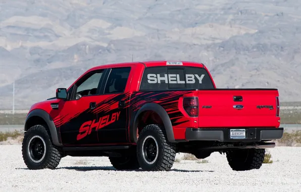 Picture Ford, Shelby, Ford, Raptor, rear view, Raptor, pickup, F-150