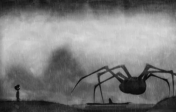 Picture river, rain, spider, boy, Limbo