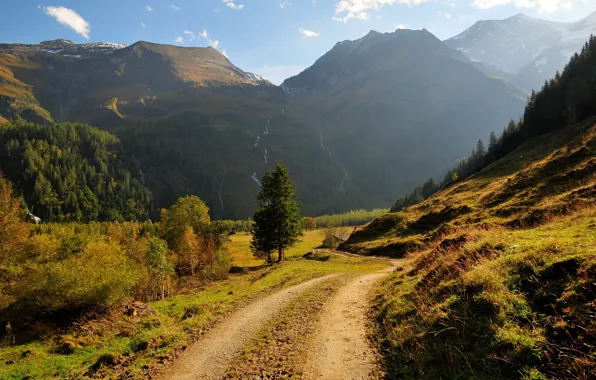 Road, forest, grass, trees, mountains, waterfall