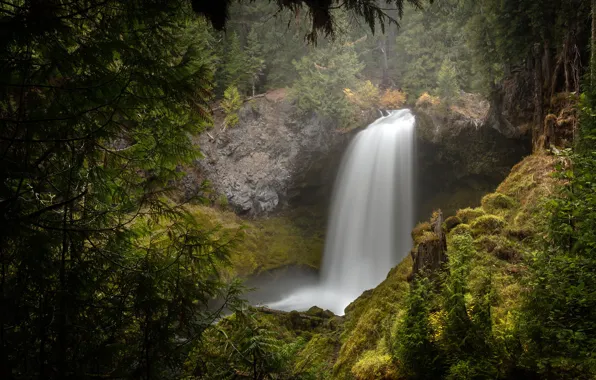 Forest, branches, rocks, view, waterfall, stump, stream, ate