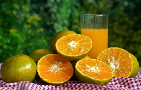 Nature, glass, oranges, fabric, citrus, orange juice