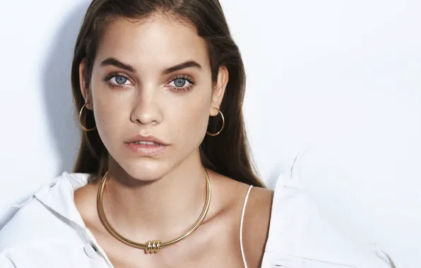 Picture look, girl, pose, model, makeup, hairstyle, hair, Barbara Palvin