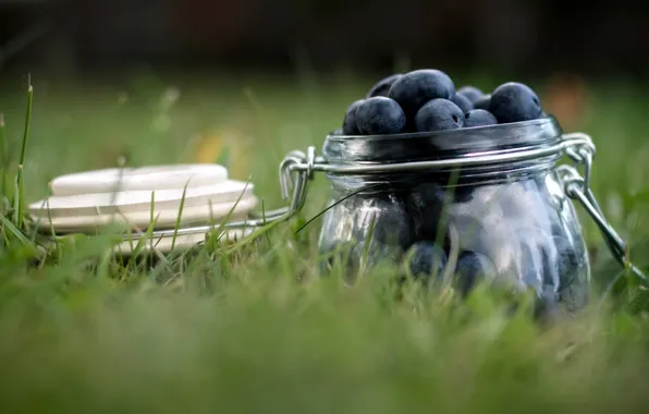 Picture macro, berries, blueberries, Bank