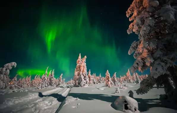 Picture winter, road, forest, the sky, snow, trees, night, stars