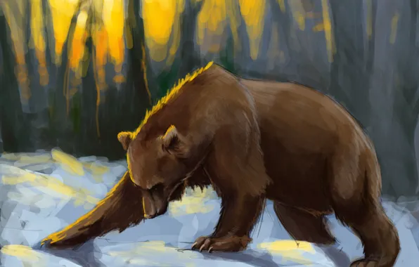 Picture forest, snow, sunset, bear, art, the sun's rays, Brown bear
