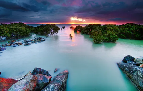 Picture sea, the sky, sunset, stones, the bushes