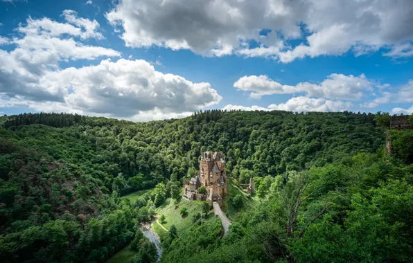 Picture forest, trees, castle, Germany, Castle Eltz