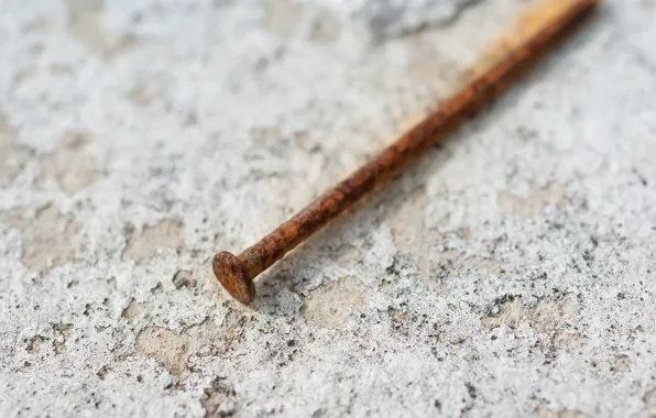 Picture macro, background, nail