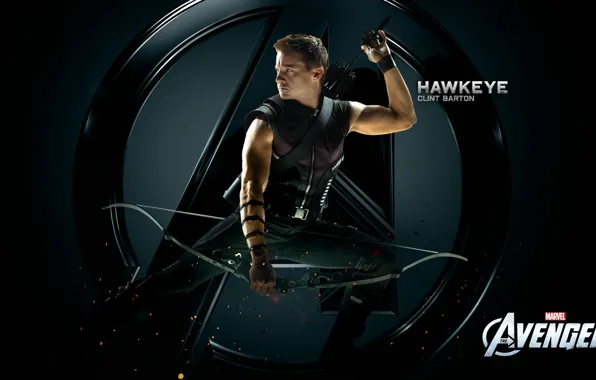 Picture bow, arrows, the Avengers, CLINT BARTON, HAWKEYE