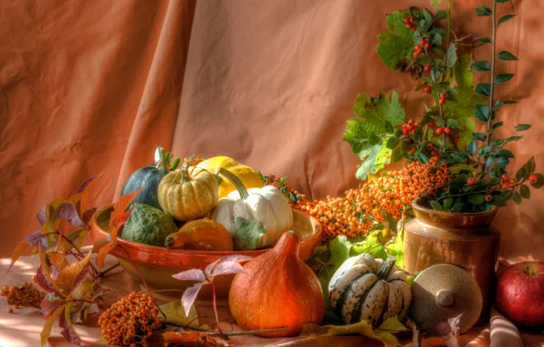 Leaves, berries, Apple, pumpkin, still life, dish