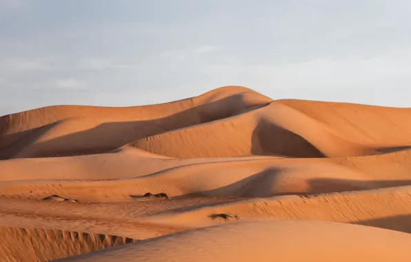 Sand, the sky, nature, desert, dunes