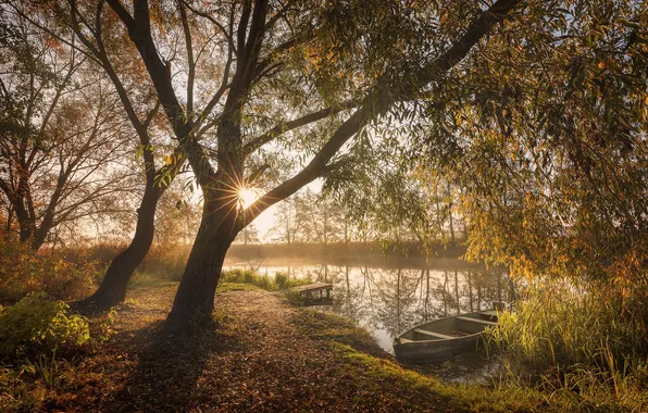 Picture Dmitry Kupratsevich, Voronezh River, Surroundings of the village of Ramon