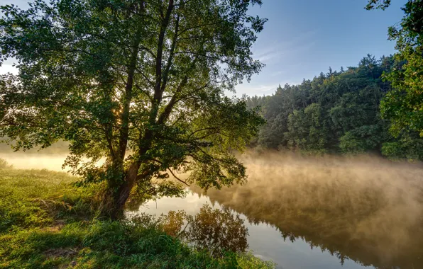 Picture autumn, grass, trees, river, stream, Germany, Bayern, Schorndorf
