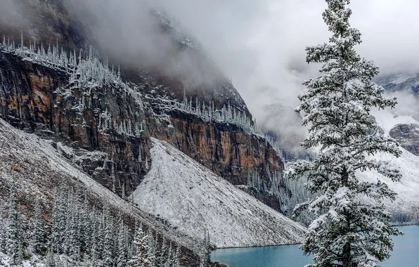 Winter, snow, trees, mountains, lake