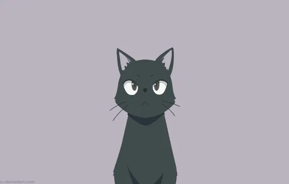 Black, Cat, Black Cat