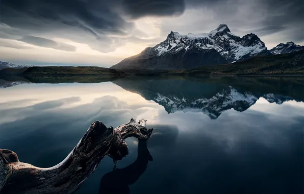 Mountains, lake, reflection, shore, snag, pond, Andes